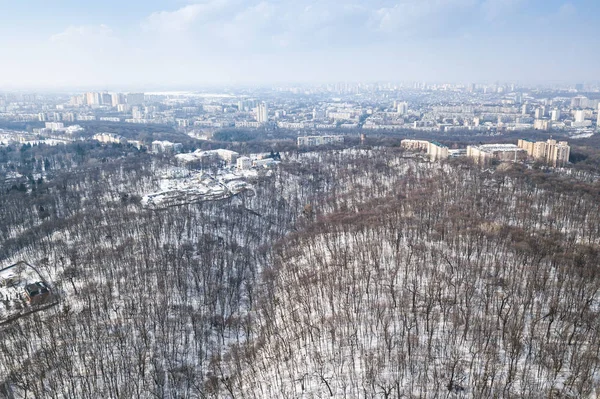 Kiev Ukraine March 2018 Aerial Drone Photo Goloseevski Park Forest — Stock Photo, Image