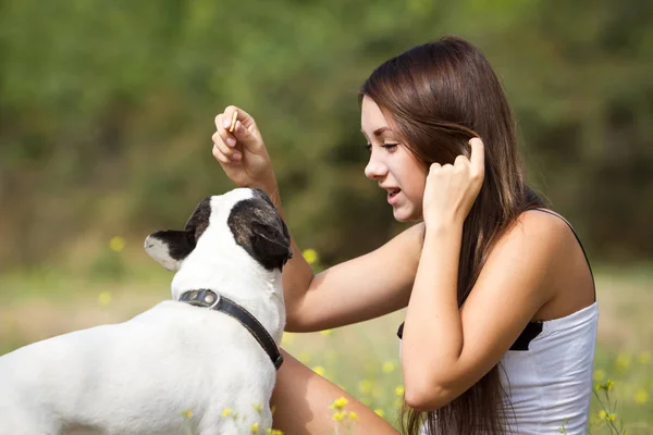黑发少女与她健康的年轻斗牛犬在公园里玩 — 图库照片