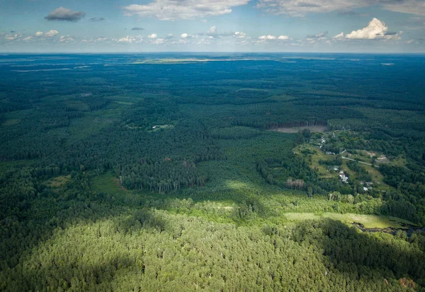 美しい夏の森 航空写真ビュー — ストック写真