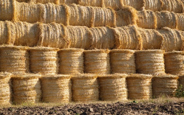 Höstack Jordbruksområdet Blå Himmel — Stockfoto