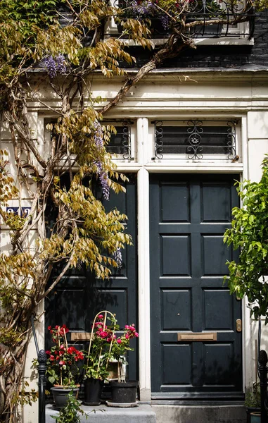 Oud Huis Amsterdam Nederland — Stockfoto