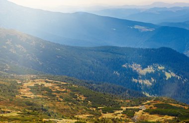 Güney Ukrayna aktif Turizm için güzel yeşil vadi. Karpat mountain park iyi güneşli bir günde