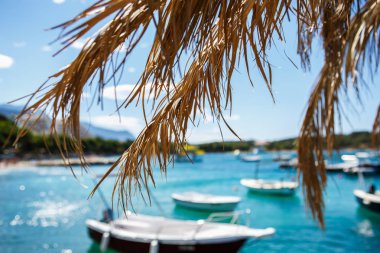 Güzel yaz resort su spor ve boş zaman etkinlikleri için kapsayan palmiyeler. Motorlu tekneler ve yatlar mavi lagün. Korku veren seyahat hedef turizm için. Tüplü dalış, Akdeniz'de Yüzme