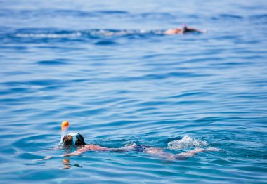 Hırvatistan'da denizde yüzen insanlar