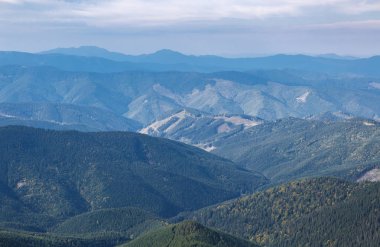 Sonbahar sezonu güzel Karpat Dağları