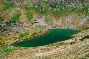 Sonbahar sezonu güzel Karpat Dağları. Europe.Instagram vintage film filtre aktif Turizm için seyahat hedef