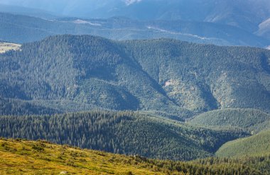 Sonbahar sezonu güzel Karpat Dağları