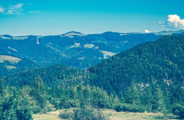 Sonbaharın güzel dağ manzarası. Instagram vintage film filtresi