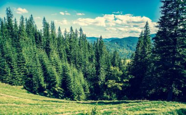 Sonbaharın güzel dağ manzarası. Instagram vintage film filtresi