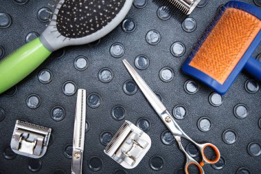 Profesyonel evde beslenen hayvan damat araçları için hayvan veteriner kliniğinde damat table.Comb, makas ve kesme makinesi araçları. Aletleri üzerinde odaklanmak, havai çekim