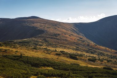 Sonbahar sezonu güzel Karpat Dağları