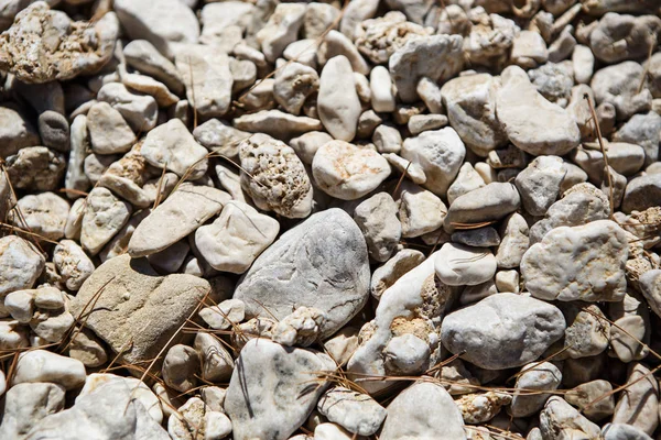 Stone Pebble Adriatic Sea Coast Makarska Riviera Croatia — Stock Photo, Image