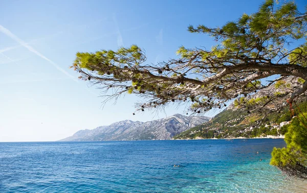 Mediterranean Sea Croatia Nature Travel — Stock Photo, Image
