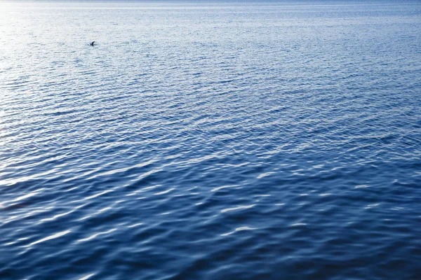 海海岸にエキゾチックな旅行先の海辺に沈む夕日 夏の夜の黄昏の照明の下で輝く水面 — ストック写真