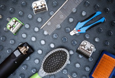 Masa üstünde hayvan damat alet. Elektrikli tıraş makinesi makinesi, tarak ve tırnak makası ek yükü vurdu. Profesyonel Aletler için evde beslenen hayvan hijyen ve sağlık bakım