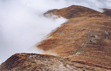 Sonbahar sezonu güzel Karpat Dağları. Europe.Instagram vintage film filtre aktif Turizm için seyahat hedef