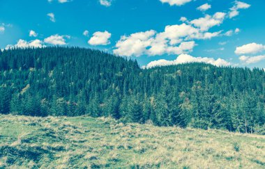 Sonbaharın güzel dağ manzarası. Instagram vintage film filtresi