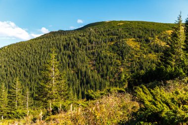Sonbahar sezonu güzel Karpat Dağları