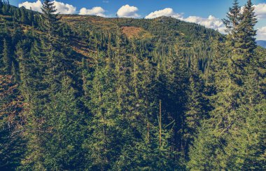 Sonbaharın güzel dağ manzarası. Instagram vintage film filtresi