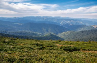 Sonbahar sezonu güzel Karpat Dağları