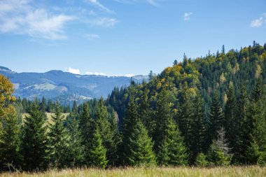 Sonbahar sezonu güzel Karpat Dağları