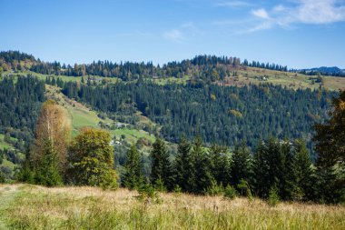 Sonbahar sezonu güzel Karpat Dağları