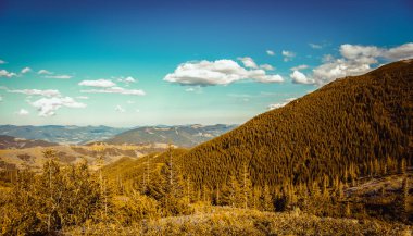 Sonbaharın güzel dağ manzarası. Instagram vintage film filtresi