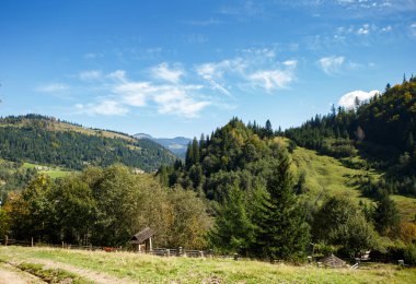 Sonbahar sezonu güzel Karpat Dağları
