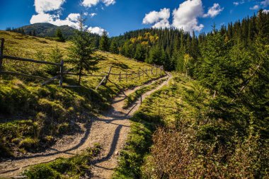 Sonbaharın güzel dağ manzarası. Instagram vintage film filtresi