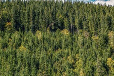 Sonbaharın güzel dağ manzarası. Instagram vintage film filtresi