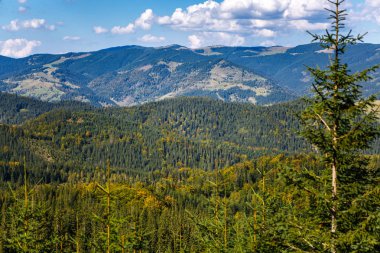 Sonbahar sezonu güzel Karpat Dağları