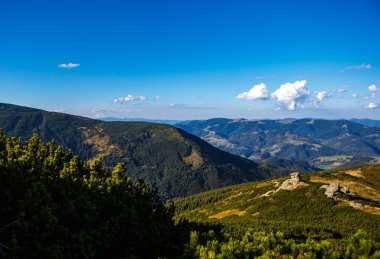 Sonbahar sezonu güzel Karpat Dağları