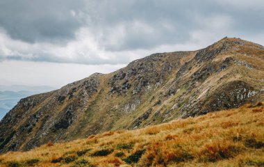 Sonbahar sezonu güzel Karpat Dağları. Europe.Instagram vintage film filtre aktif Turizm için seyahat hedef