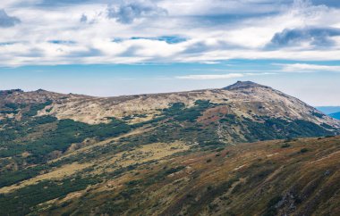 Seyahat hedef. Karpat Dağları'nın güzel manzara 