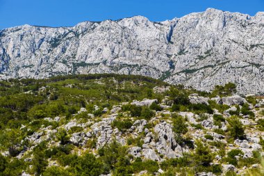 Güzel rocky Dağları Milli Parkı Biokovo Hırvat sahil Adriyatik Sea.Popular, hedef, yaz tatili ve tur yürüyüş için seyahat. Dağ yeşil orman ağaçları ile 