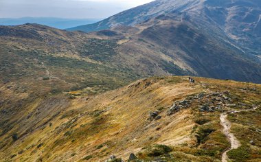 Seyahat hedef. Karpat Dağları'nın güzel manzara 