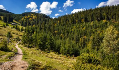 Sonbahar sezonu güzel Karpat Dağları