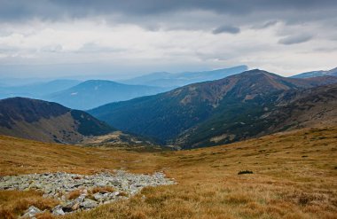 Karpat mountain Park yeşil vadi yüksek. Yürüyüş Turları Avrupa'nın doğal güzellikleri zevk