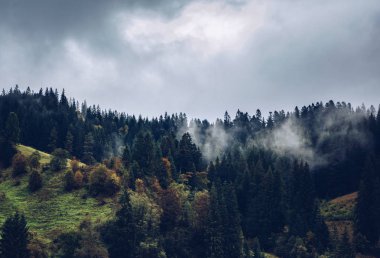 Sonbahar sezonu güzel Karpat Dağları