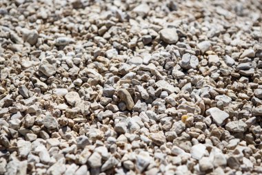 Beach taş çakıl yakın çekim