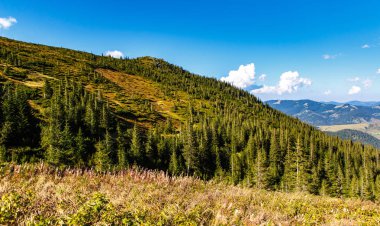 Sonbahar sezonu güzel Karpat Dağları