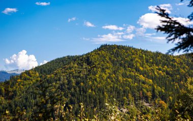 Sonbahar sezonu güzel Karpat Dağları