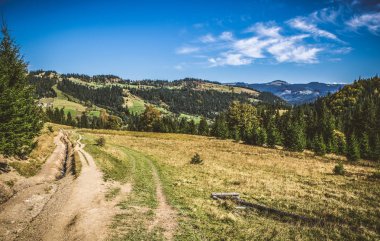 Sonbaharın güzel dağ manzarası. Instagram vintage film filtresi
