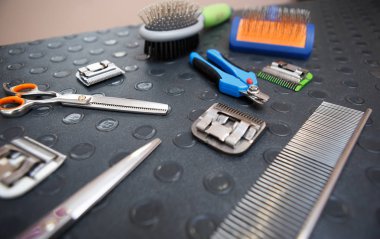 Profesyonel tırnak makası veteriner kliniğinde. Kırpma çivi ve tablo shearer makine klibi için evde beslenen hayvan damat araçları. Kadar yakın salon aletleri bakım