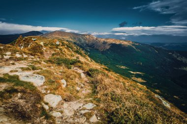 Sonbahar sezonu güzel Karpat Dağları. Europe.Instagram vintage film filtre aktif Turizm için seyahat hedef