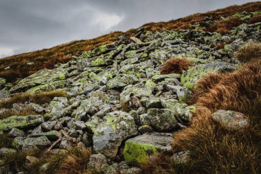 Sonbahar sezonu güzel Karpat Dağları. Europe.Instagram vintage film filtre aktif Turizm için seyahat hedef