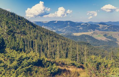 Sonbaharın güzel dağ manzarası. Instagram vintage film filtresi