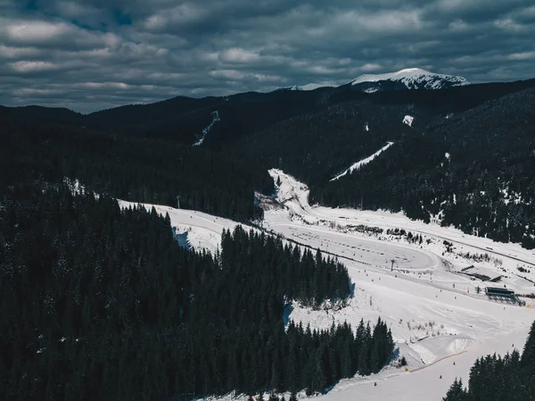 Mooie Luchtfoto Drone Landschap Shot Van Karpaten Koude Winterdag Forest — Stockfoto