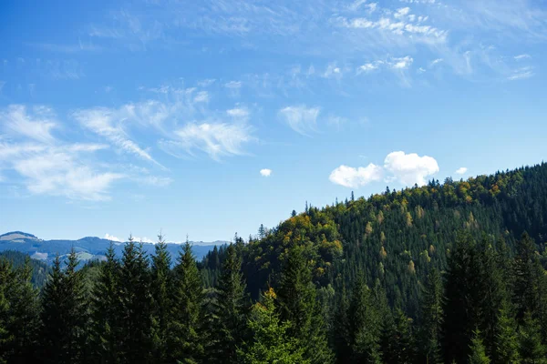 Sonbahar Sezonu Güzel Karpat Dağları — Stok fotoğraf