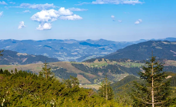 Sonbahar Sezonu Güzel Karpat Dağları — Stok fotoğraf